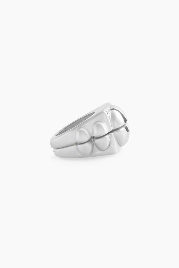 BEST OF BOTH WORLDS SILVER RING